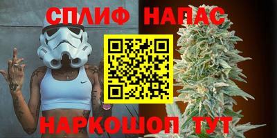 СК Пенза