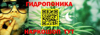 СК Пенза